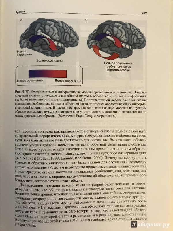 Иллюстрация 39 из 57 для Мозг, познание, разум. Введение в когнитивные нейронауки. В 2-х томах - Баарс, Гейдж | Лабиринт - книги. Источник: Ромыдтчъ