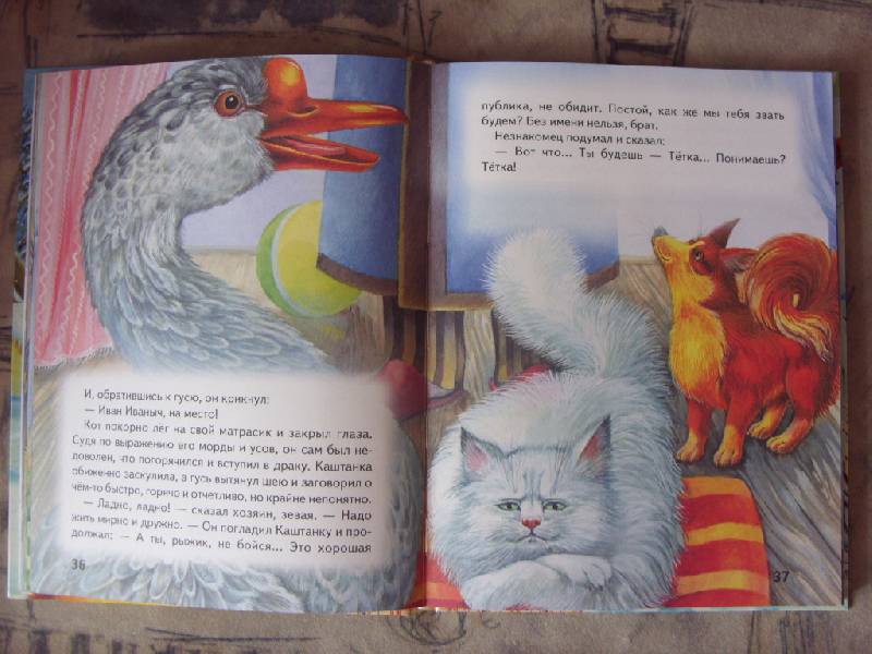 Иллюстрация 13 из 15 для Каштанка - Антон Чехов | Лабиринт - книги. Источник: Золотая рыбка