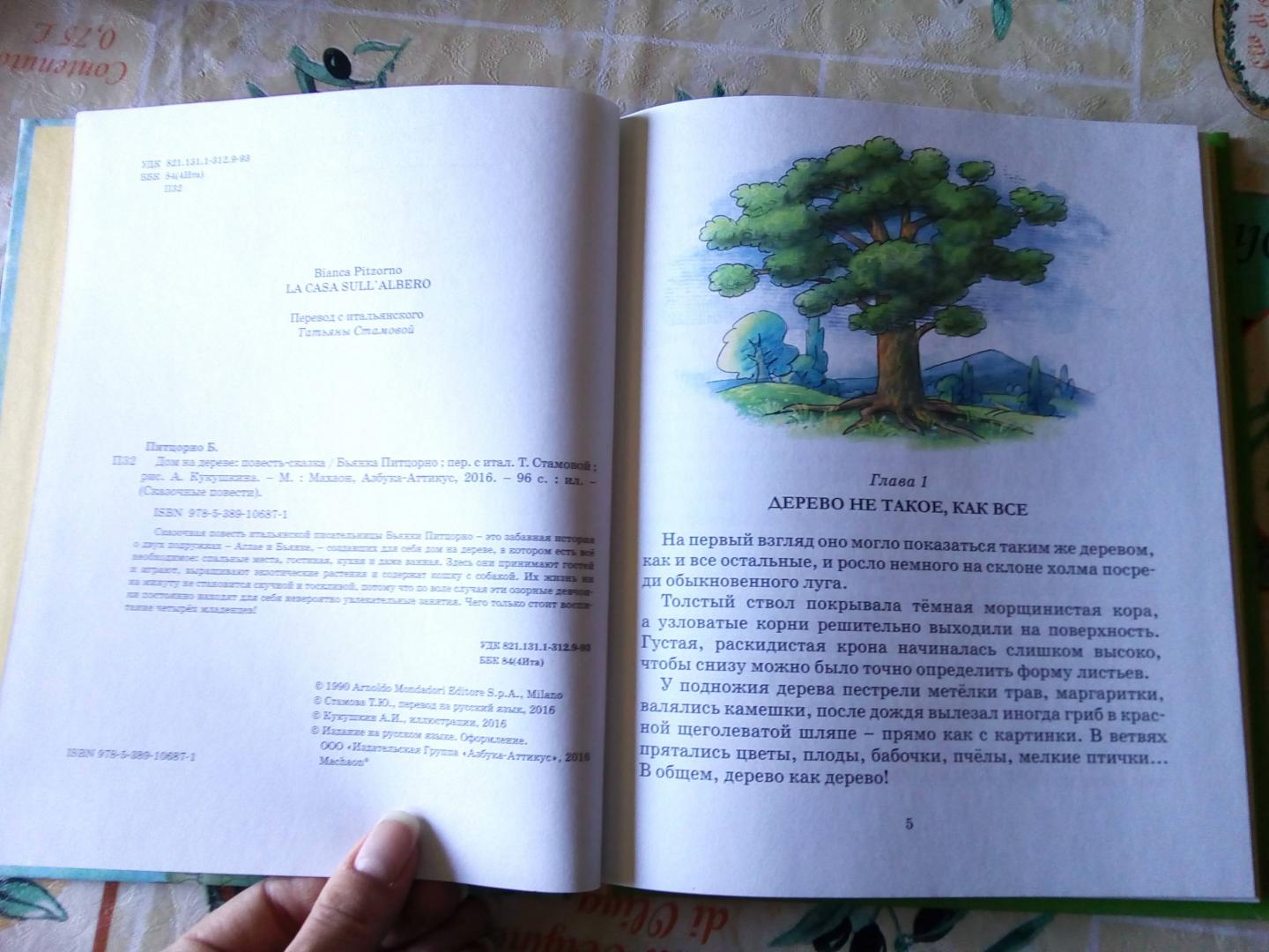 Иллюстрация 24 из 27 для Дом на дереве - Бьянка Питцорно | Лабиринт - книги. Источник: Коротаева  Ирина Владимировна