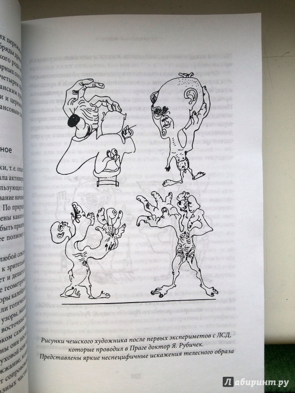 Иллюстрация 14 из 28 для За пределами мозга. Рождение, смерть и трансценденция в психотерапии - Станислав Гроф | Лабиринт - книги. Источник: Химок