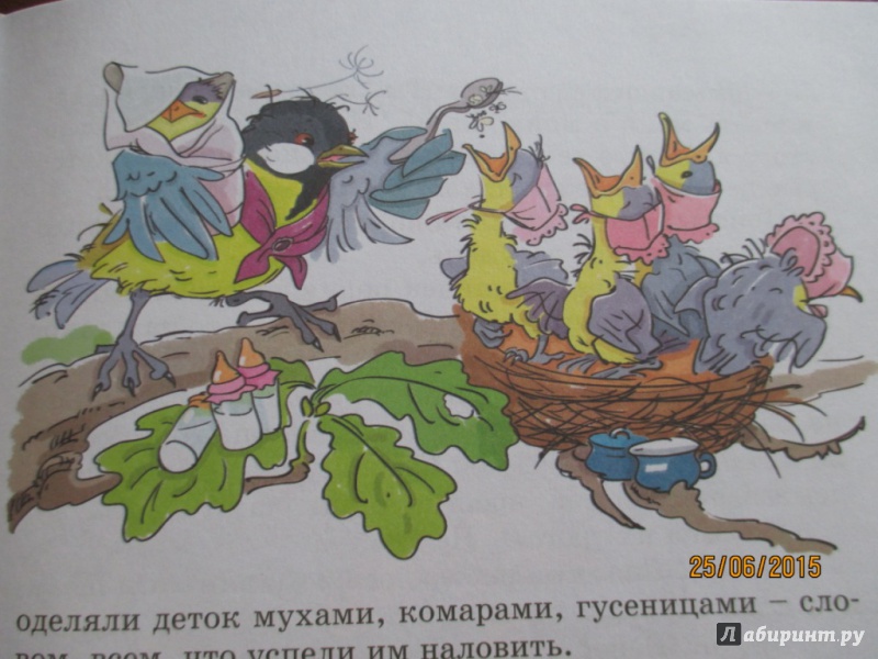 Иллюстрация 3 из 10 для Птичий базар - Федоров-Давыдов, Мамин-Сибиряк, Бианки | Лабиринт - книги. Источник: Марина Епифанцева
