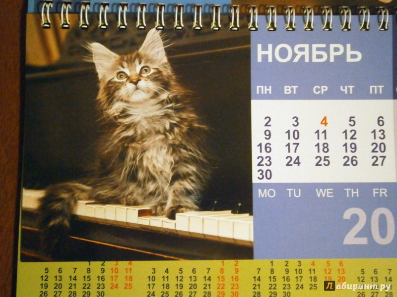 Иллюстрация 12 из 13 для Календарь-домик 2015 "Котята" | Лабиринт - сувениры. Источник: D8  _