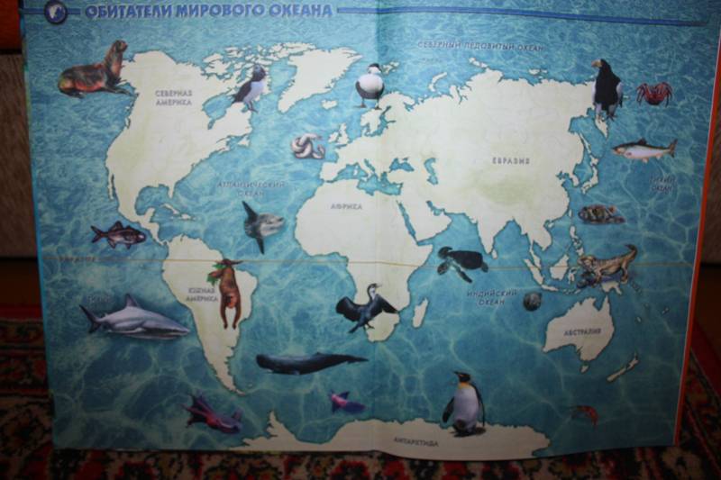Иллюстрация 1 из 12 для Атлас жителей морей и океанов - Татьяна Жабская | Лабиринт - книги. Источник: Лисенка