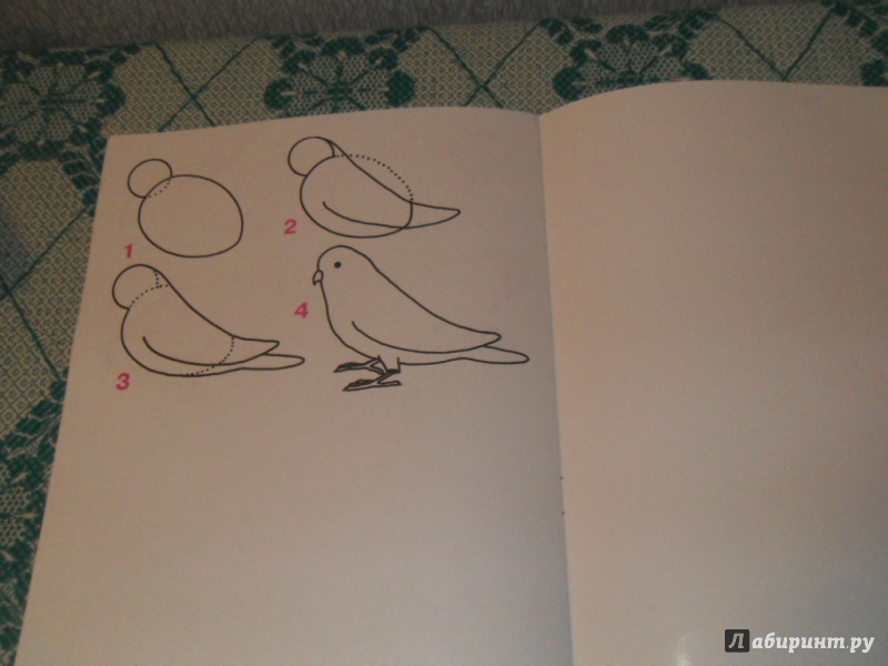 Иллюстрация 11 из 18 для Учимся рисовать | Лабиринт - книги. Источник: Мама чуда