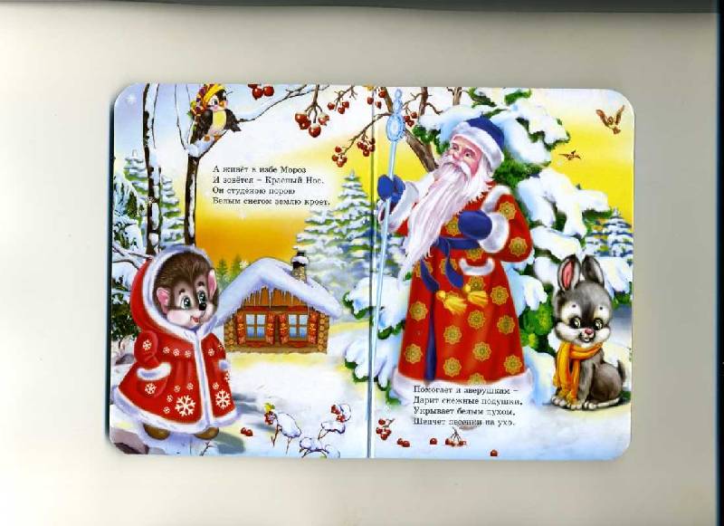 Иллюстрация 3 из 9 для Дед Мороз - Красный Нос - Наталья Майер | Лабиринт - книги. Источник: Варвара