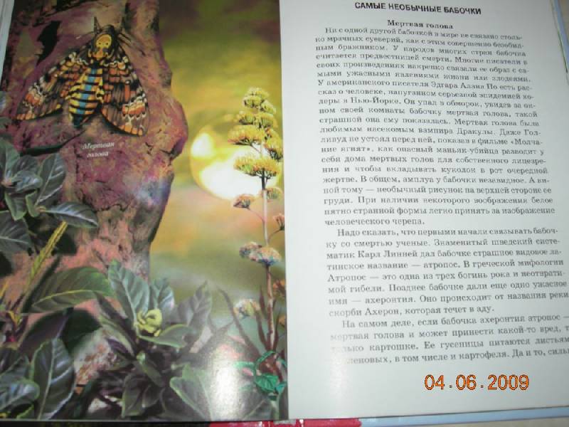Иллюстрация 22 из 29 для Бабочки - Юлия Дунаева | Лабиринт - книги. Источник: Соловей