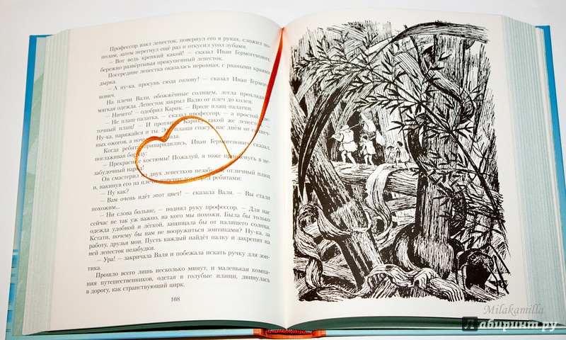 Иллюстрация 75 из 101 для Необыкновенные приключения Карика и Вали - Ян Ларри | Лабиринт - книги. Источник: Букландия