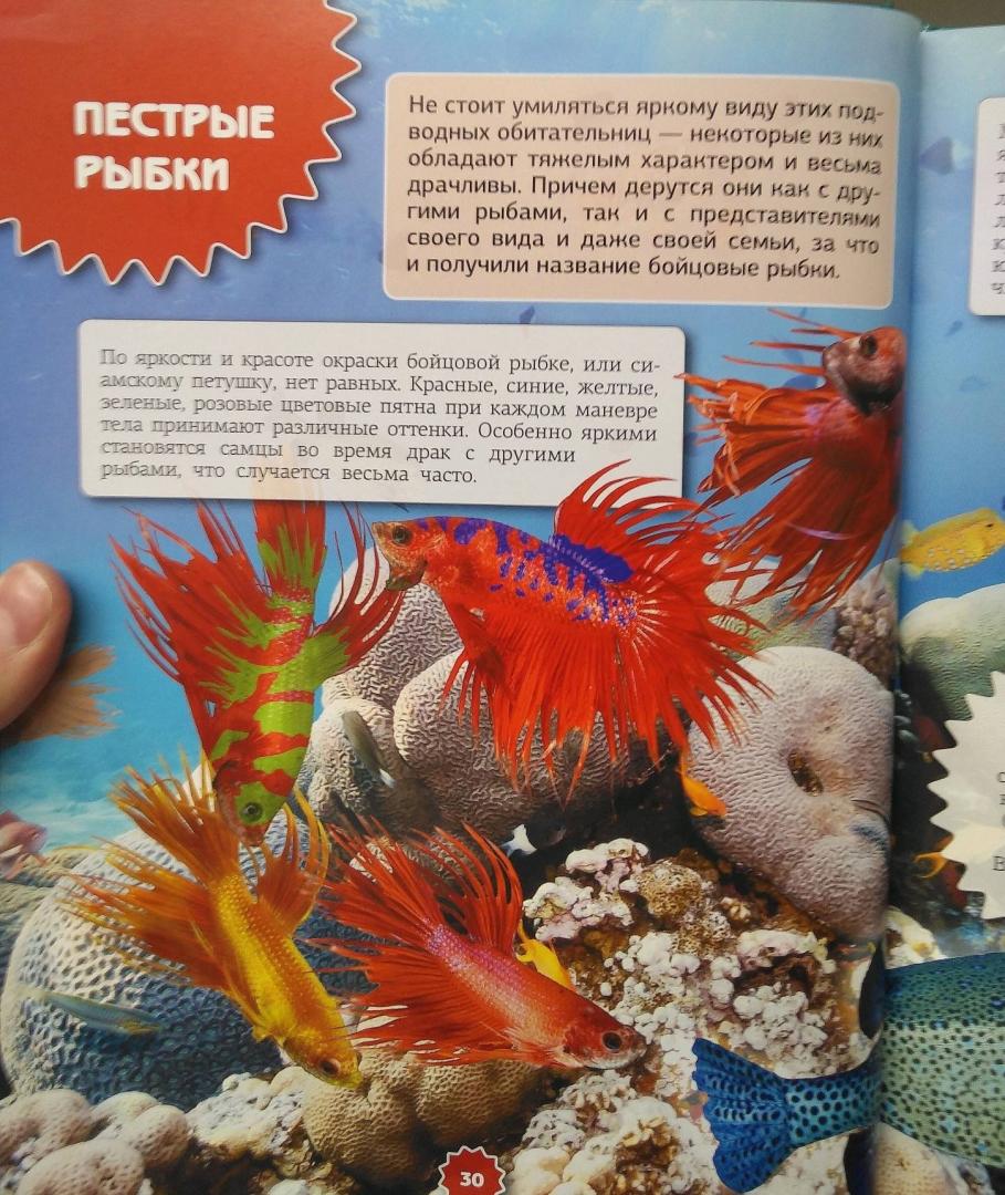 Иллюстрация 12 из 21 для Подводный мир - Ликсо, Третьякова | Лабиринт - книги. Источник: Савчук Ирина