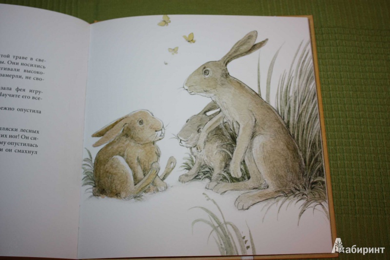 Иллюстрация 12 из 62 для Плюшевый заяц, или Как игрушки становятся настоящими - Марджери Уильямс | Лабиринт - книги. Источник: Михайлова Алексия