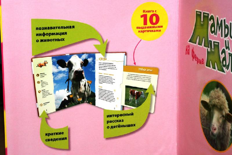Иллюстрация 3 из 12 для Мамы и малыши на ферме - Лангнер, Кляйнемюллен-Деппинг | Лабиринт - книги. Источник: Алина-читатель