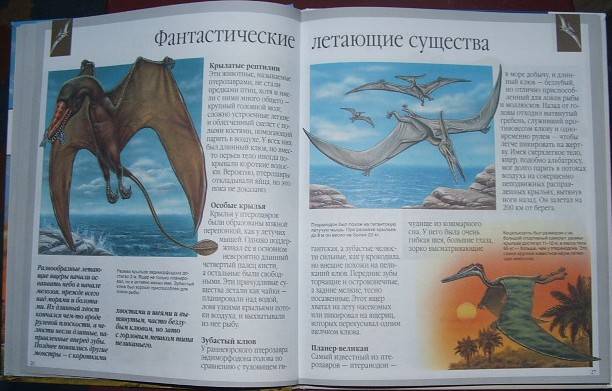 Иллюстрация 17 из 28 для Динозавры и другие исчезнувшие животные - Лора Камбурнак | Лабиринт - книги. Источник: Мешкова Юлия Алексеевна