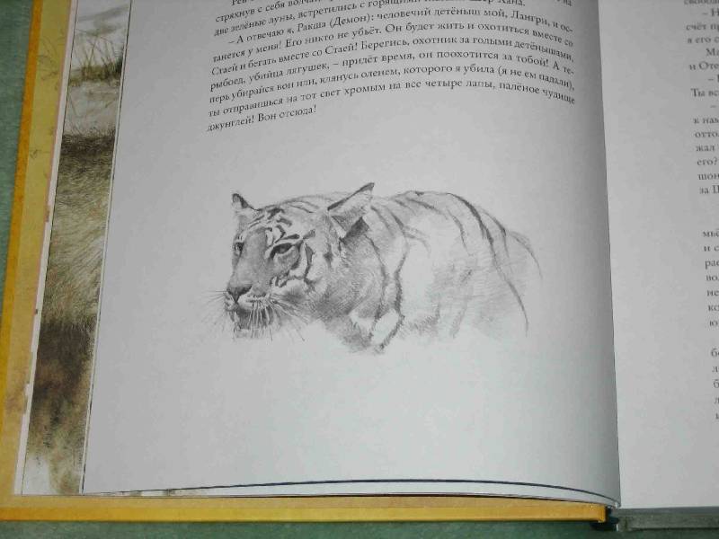 Иллюстрация 66 из 164 для Книга джунглей - Редьярд Киплинг | Лабиринт - книги. Источник: Трухина Ирина