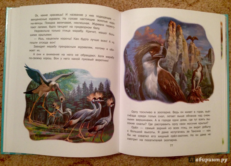 Иллюстрация 31 из 52 для Приключения Маруси - Жильбер Делаэ | Лабиринт - книги. Источник: Псевдоним