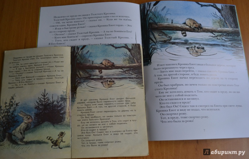 Иллюстрация 52 из 97 для Крошка Енот и тот, кто сидит в пруду - Лилиан Муур | Лабиринт - книги. Источник: Alice R