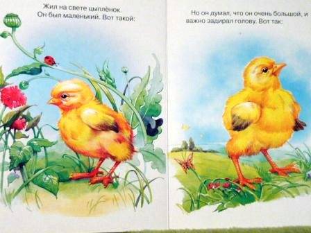 Иллюстрация 1 из 2 для Цыпленок - Корней Чуковский | Лабиринт - книги. Источник: Катерина М.