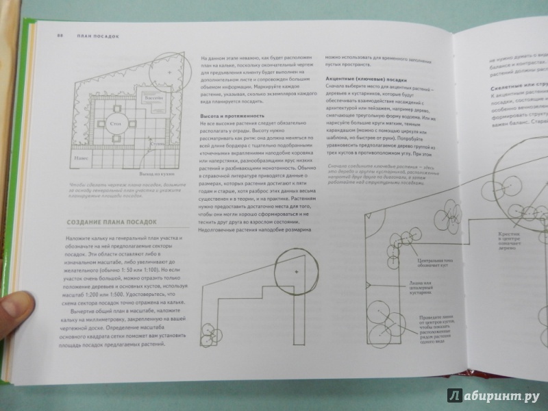 Иллюстрация 11 из 26 для Дизайн сада. Профессиональный подход - Бэтстоун, Александер | Лабиринт - книги. Источник: dbyyb