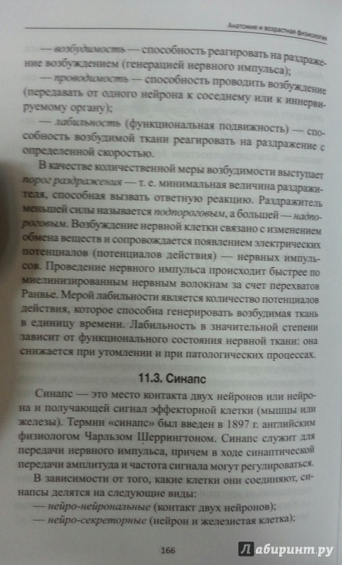 Иллюстрация 2 из 12 для Анатомия и возрастная физиология. Учебник - Ирина Тихомирова | Лабиринт - книги. Источник: Den