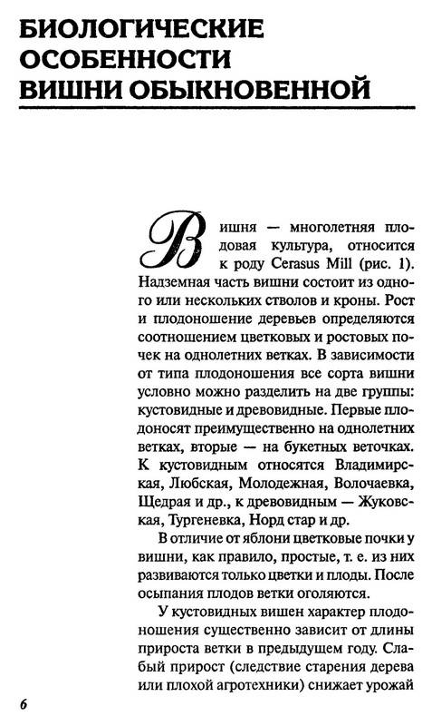 Иллюстрация 12 из 16 для Вишня и черешня - Михеев, Ревякина | Лабиринт - книги. Источник: Ялина