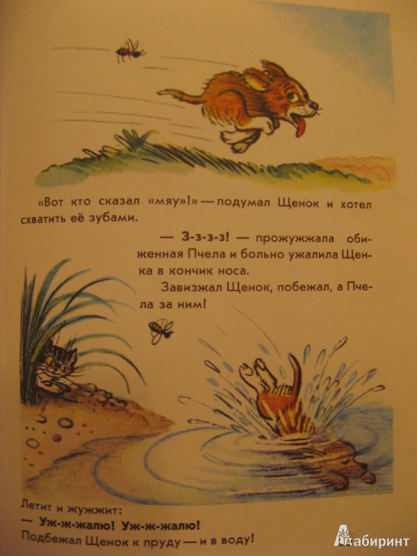 Кто сказал мяу текст. Кто сказал мяу стих. Владимир Сутеев кто сказал мяу. Кто сказал мяу пчела. Сколько страниц в сказке кто сказал мяу.