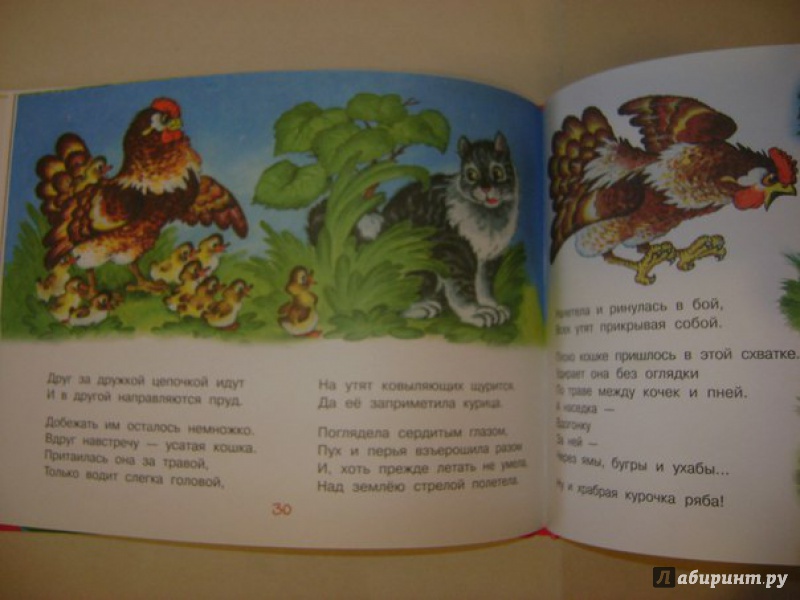 Иллюстрация 31 из 31 для Сказки в стихах - Самуил Маршак | Лабиринт - книги. Источник: Саша Юрина