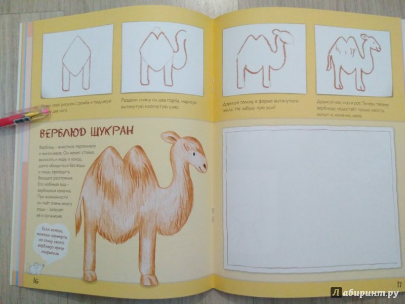 Иллюстрация 12 из 17 для Рисуем домашних животных - Корина Бойренмайстер | Лабиринт - книги. Источник: Тайна