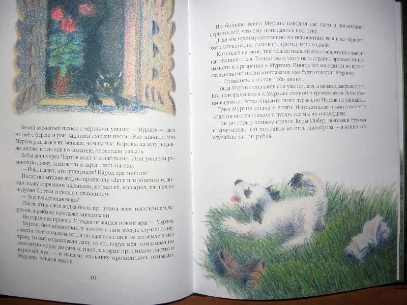 Иллюстрация 42 из 63 для Кот-ворюга - Константин Паустовский | Лабиринт - книги. Источник: Red cat ;)