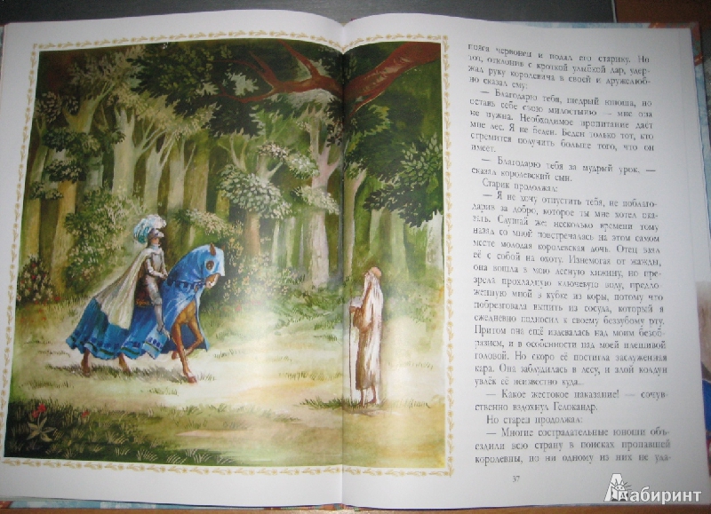 Иллюстрация 31 из 43 для Сказки о принцессах, королях и колдунах | Лабиринт - книги. Источник: Макарова  Елена
