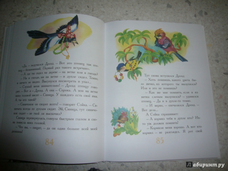 Иллюстрация 24 из 48 для Сказки про животных - Паустовский, Бианки, Заходер | Лабиринт - книги. Источник: Юлия АС
