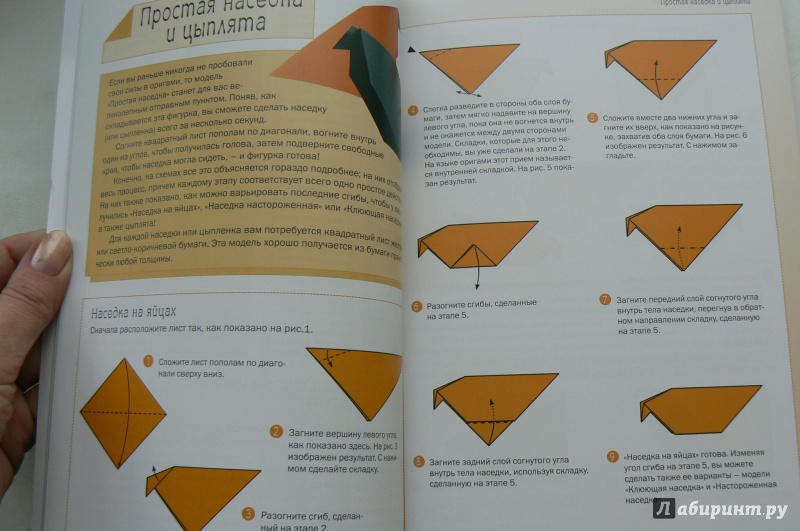 Иллюстрация 3 из 16 для Оригами. Животные из бумаги - Дэвид Митчелл | Лабиринт - книги. Источник: Марина