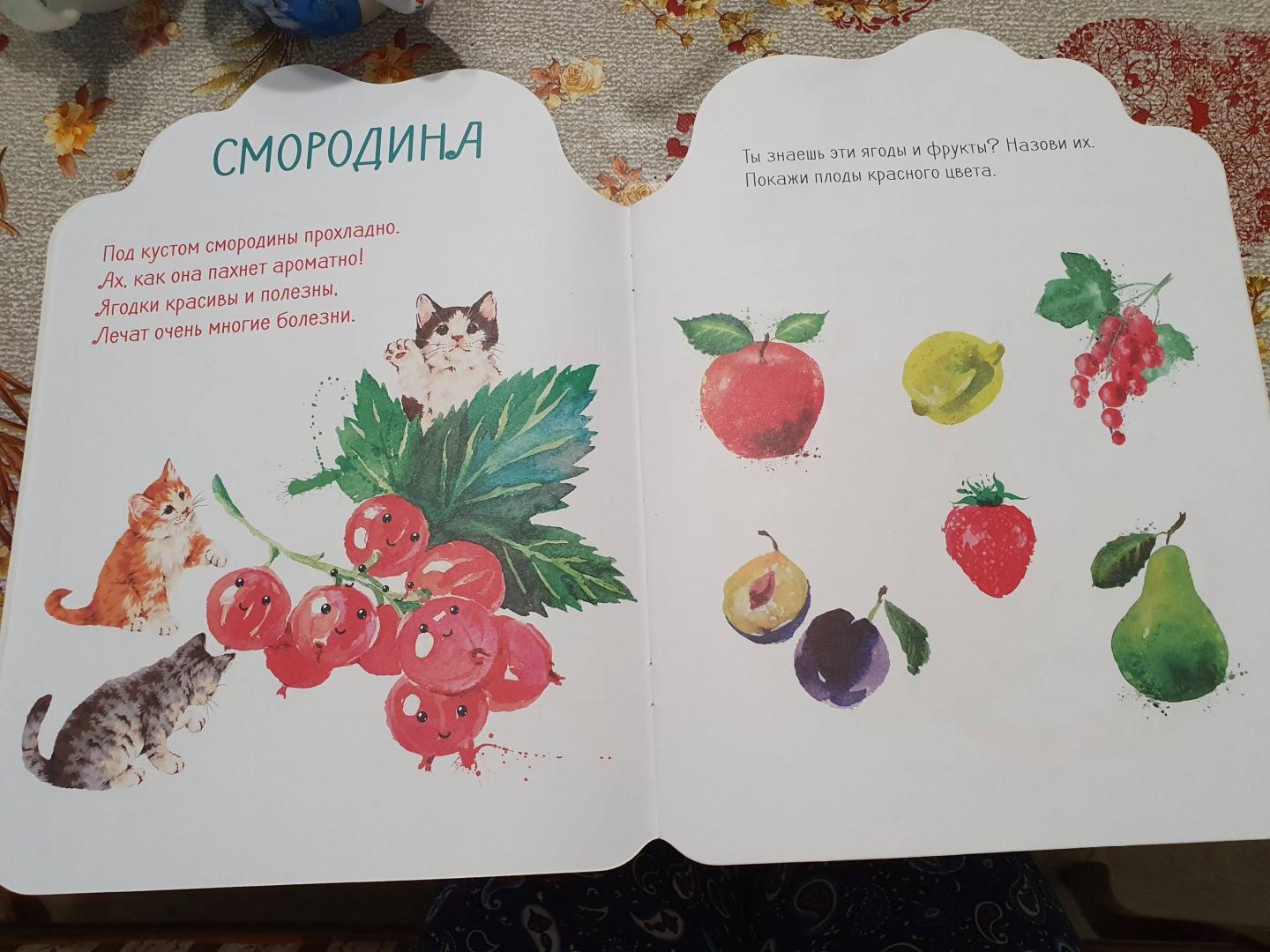 Иллюстрация 27 из 35 для Наклейки Лила Лу 3+. Фрукты и ягоды | Лабиринт - книги. Источник: NadiaM