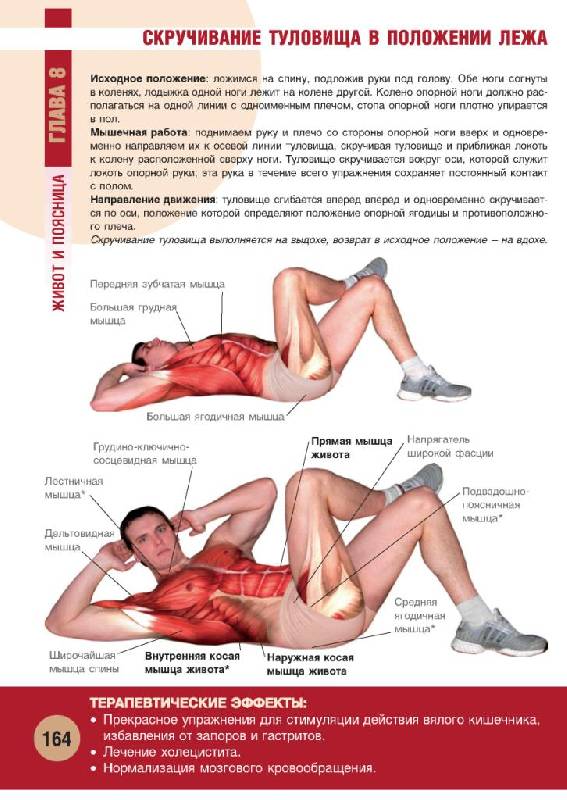 Иллюстрация 40 из 55 для Анатомия физических упражнений - Михаил Ингерлейб | Лабиринт - книги. Источник: фиалка