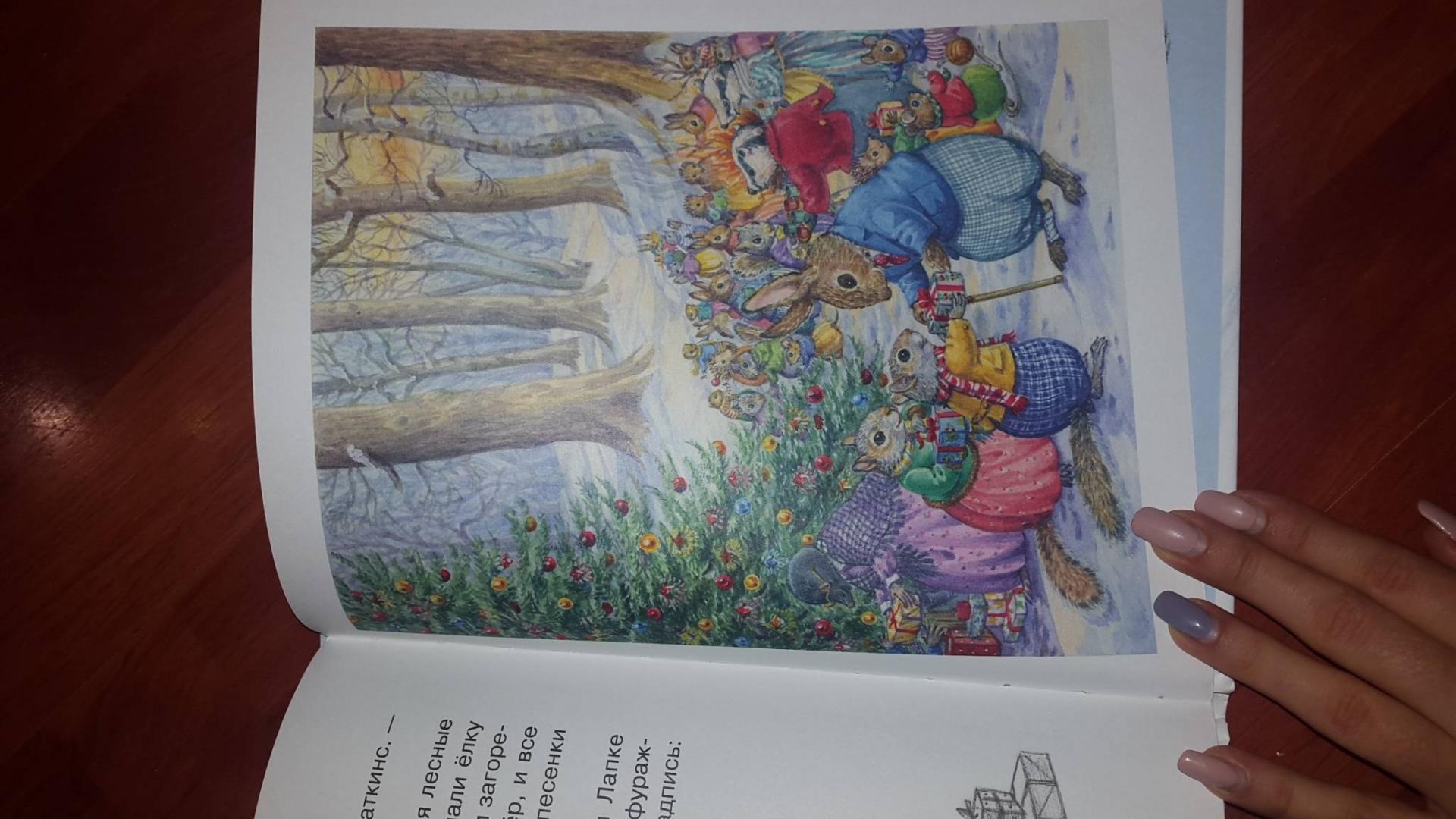 Иллюстрация 12 из 59 для Приключения новогодней посылки - Одри Таррант | Лабиринт - книги. Источник: Светлана