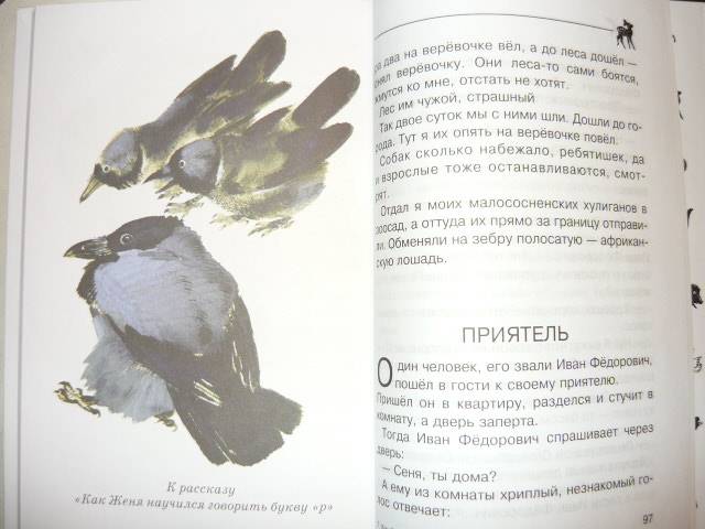Иллюстрация 19 из 21 для Про Никитку - Евгений Чарушин | Лабиринт - книги. Источник: Катерина М.