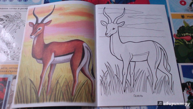 Иллюстрация 11 из 17 для Первые уроки. Раскраска "Животные жарких стран" | Лабиринт - книги. Источник: Mila