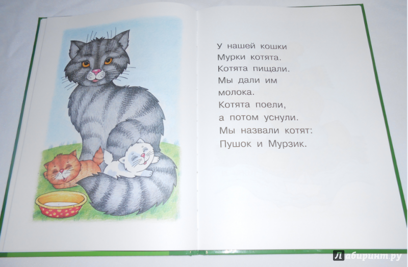 Рассказ маленький котенок. Стих про кошку для детей. Стишок про котика коротенький для детей. Детские стихи про кошек. Стих про кота для детей короткие.