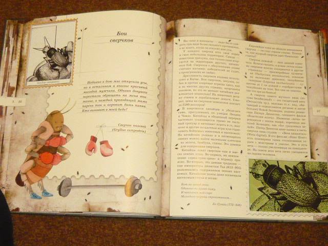 Иллюстрация 65 из 103 для Письма насекомых - Ольга Кувыкина | Лабиринт - книги. Источник: Ромашка:-)
