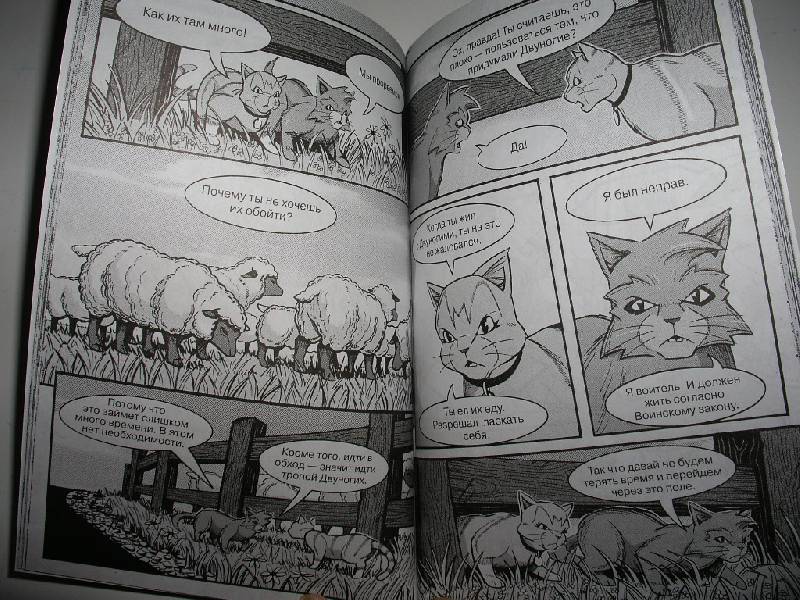 Иллюстрация 39 из 44 для Крутобок & Бич. Комплект комиксов из 4-х книг - Эрин Хантер | Лабиринт - книги. Источник: Tiger.