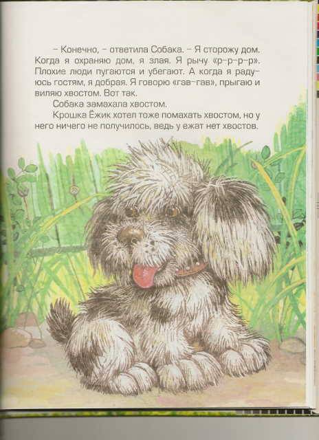 Иллюстрация 6 из 36 для Крошка Ежик - Тамара Крюкова | Лабиринт - книги. Источник: _Елена_