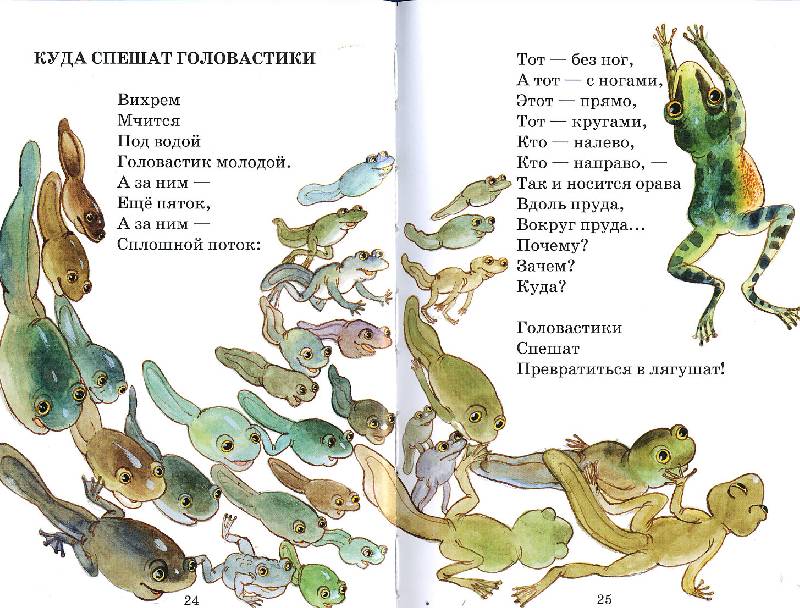 Иллюстрация 5 из 17 для Куда спешат головастики - Борис Заходер | Лабиринт - книги. Источник: РИВА
