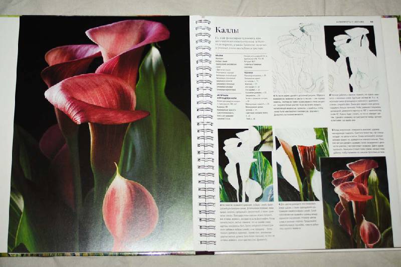 Иллюстрация 7 из 11 для Как рисовать цветы акварелью - Робин Берри | Лабиринт - книги. Источник: вера_о