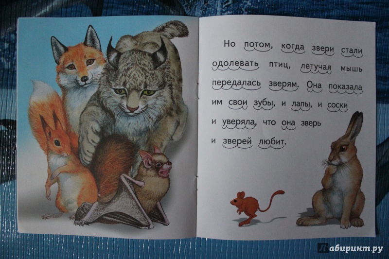Иллюстрация 10 из 16 для Белка и волк - Лев Толстой | Лабиринт - книги. Источник: Глушко  Александр