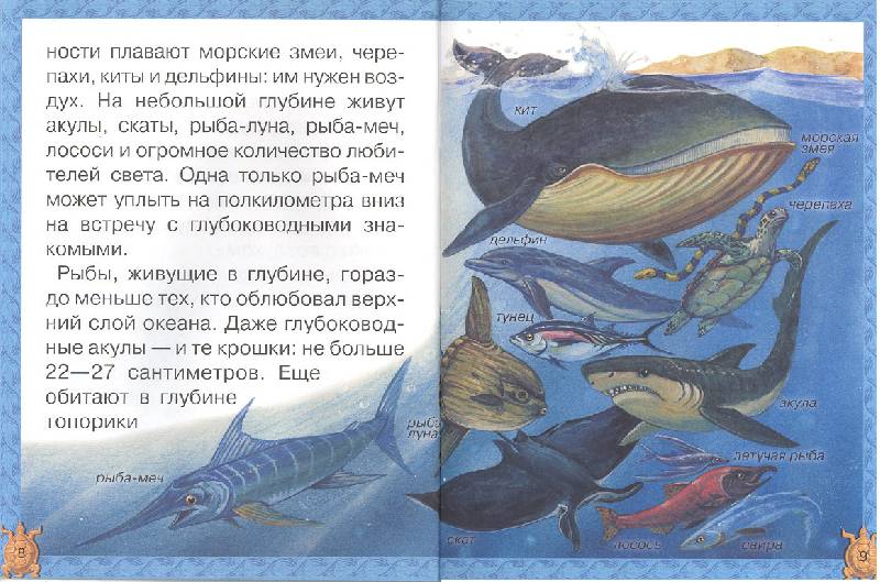 Иллюстрация 7 из 20 для Подводный мир - Ольга Колпакова | Лабиринт - книги. Источник: мамаОля