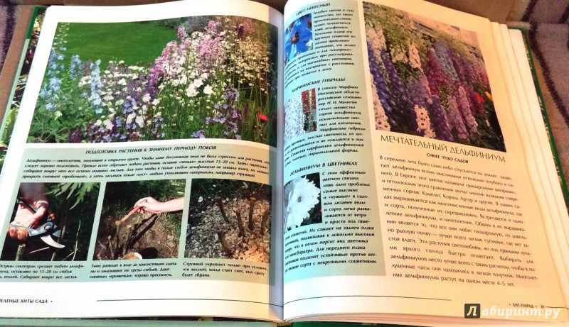 Иллюстрация 11 из 25 для Зеленые хиты сада - Ульяна Анапова | Лабиринт - книги. Источник: Бог в помощь