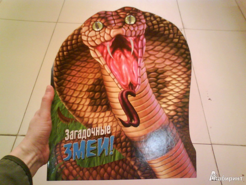 Иллюстрация 2 из 11 для Дикие животные. Загадочные змеи | Лабиринт - книги. Источник: Мила