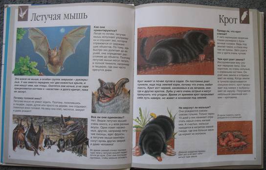 Иллюстрация 25 из 27 для Животные - Букобза, Мулинье | Лабиринт - книги. Источник: В  Светлана Е
