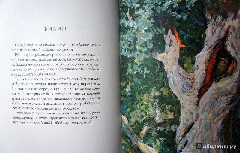Иллюстрация 14 из 14 для Лето в лесу - Иван Соколов-Микитов | Лабиринт - книги. Источник: Дивина  Оксана