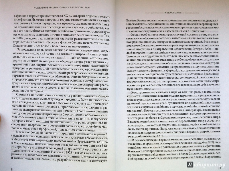 Иллюстрация 11 из 18 для Исцеление наших самых глубоких ран. Холотропный сдвиг парадигмы - Станислав Гроф | Лабиринт - книги. Источник: Химок