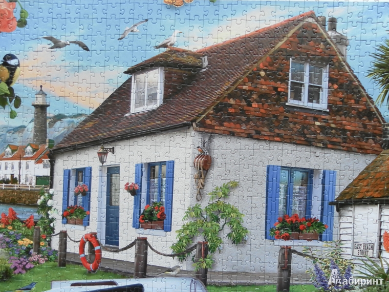 Иллюстрация 9 из 10 для Step Puzzle-1000 "Милый дом (2 в 1)" (79303) | Лабиринт - игрушки. Источник: Катрин7