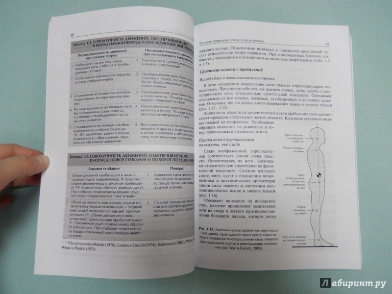 Иллюстрация 6 из 18 для Система физических упражнений Пилатеса при дефектах осанки и последствиях заболеваний и травм - Джейн Патерсон | Лабиринт - книги. Источник: dbyyb