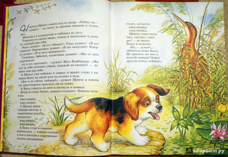 Иллюстрация 3 из 26 для Сказки - Виталий Бианки | Лабиринт - книги. Источник: Швыркова  Ольга